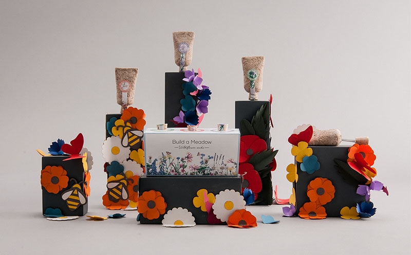 植物種子-草甸種子創(chuàng)意包裝設計