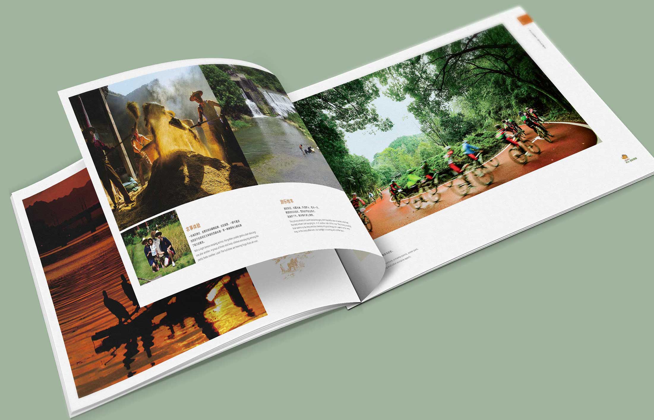 為什么這么說(shuō)政府畫冊(cè)十分重要