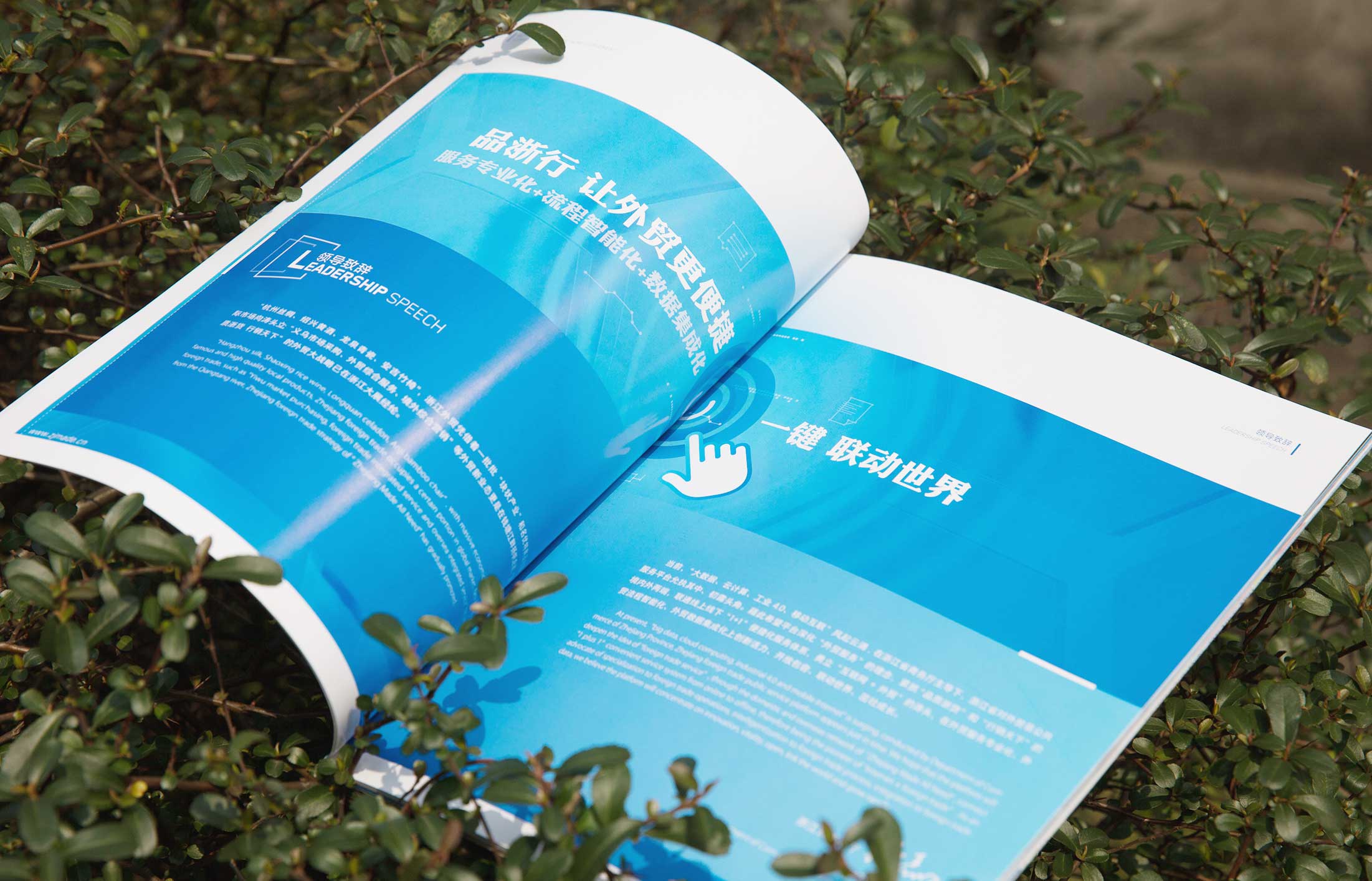 1597228333769674.jpg 5.jpg