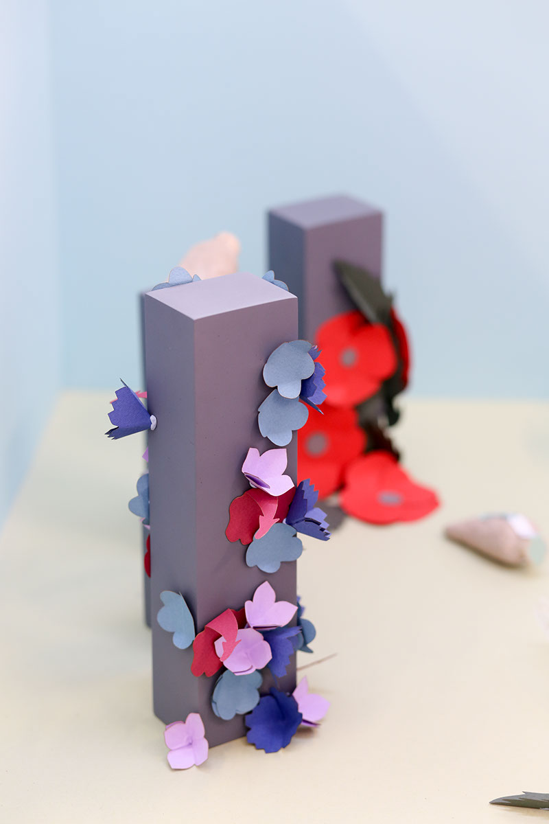 草甸種子創(chuàng)意包裝設計 草甸種子創(chuàng)意包裝設計