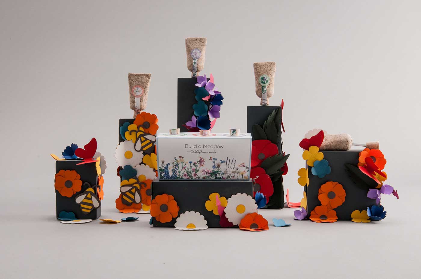 草甸種子創(chuàng)意包裝設計 草甸種子創(chuàng)意包裝設計