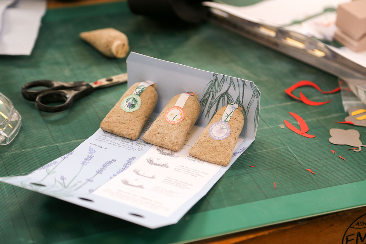 草甸種子創(chuàng)意包裝設計 草甸種子創(chuàng)意包裝設計