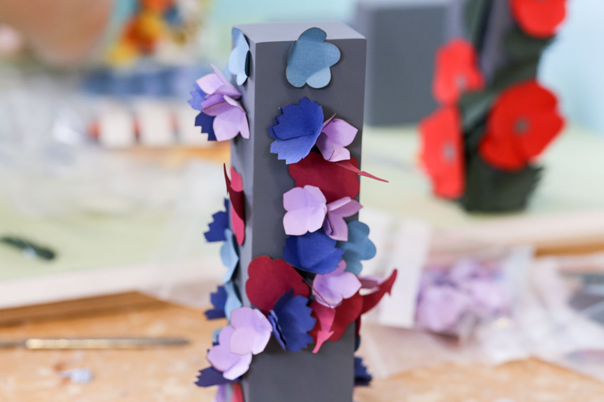 草甸種子創(chuàng)意包裝設計 草甸種子創(chuàng)意包裝設計