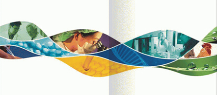 企業(yè)形象設計