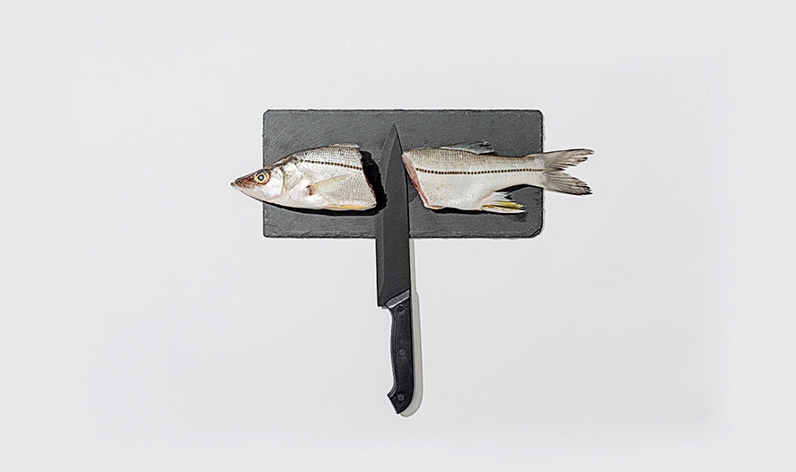 好吃的餐飲食品—創(chuàng)意壽司品牌包裝設計