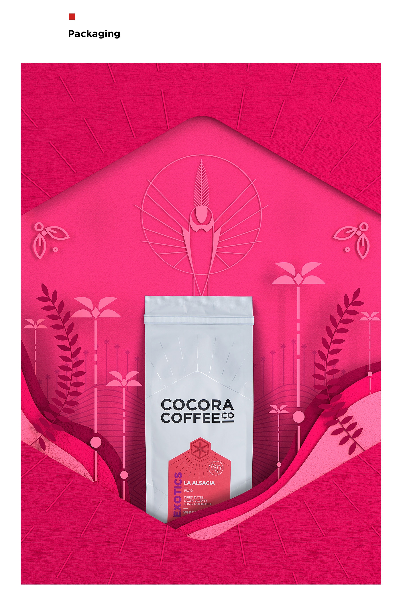 為一個咖啡杯,一個街角咖啡店,做整體的品牌包裝設(shè)計