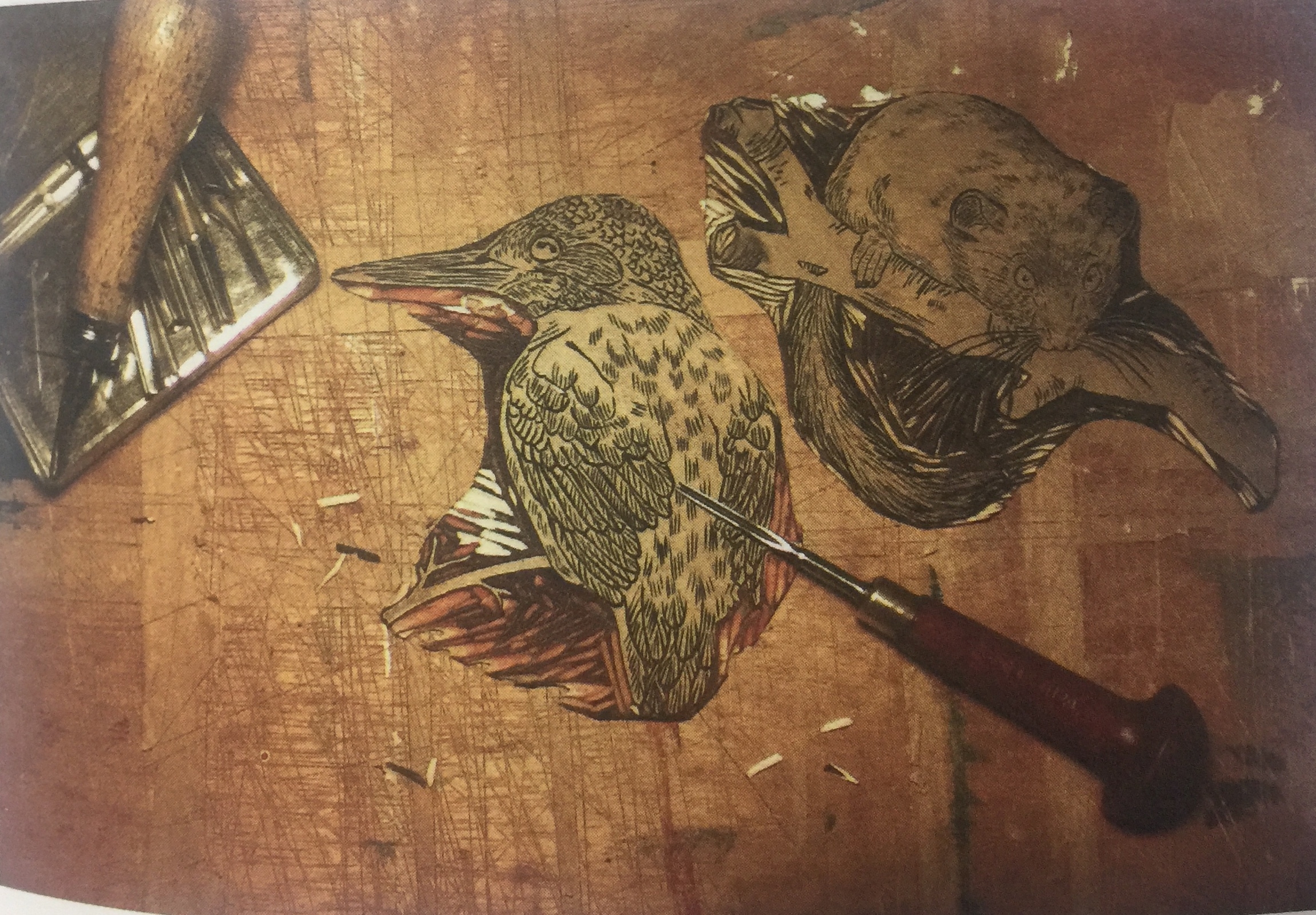 “來自國家公園的問候”主題葡萄酒包裝設(shè)計