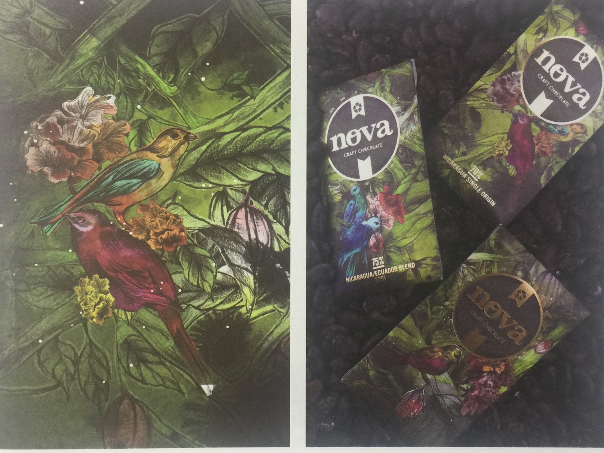 天然、綠色的休閑食品巧克力包裝設(shè)計